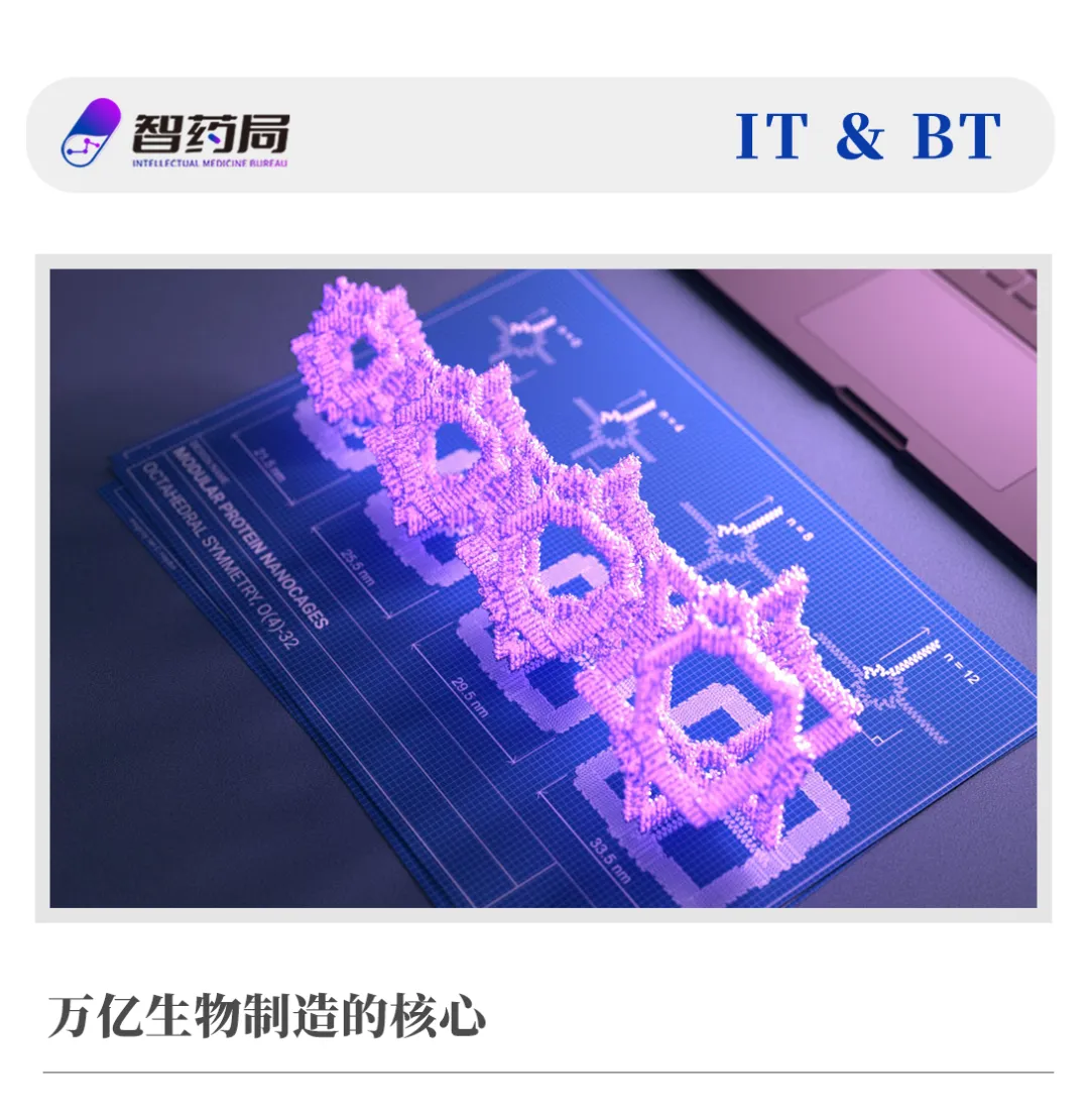 全景式盘点！一文了解全球55家AI蛋白质公司（团队+模型+赛道）