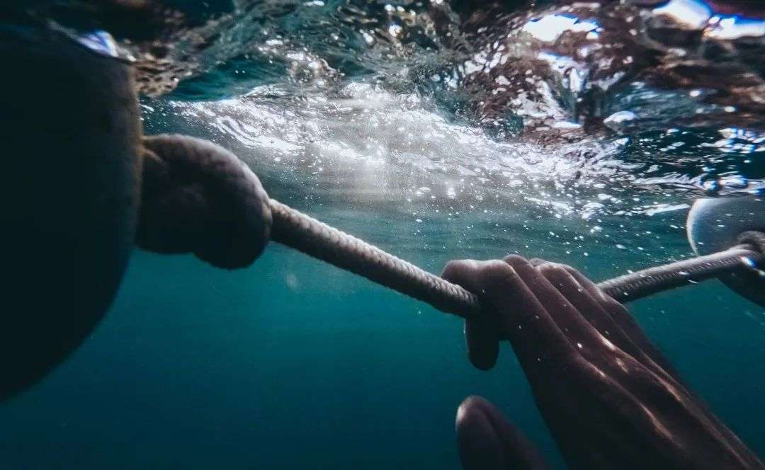 深度｜当AI创业进入深水区，谁在为AI新势力提供“确定性”？