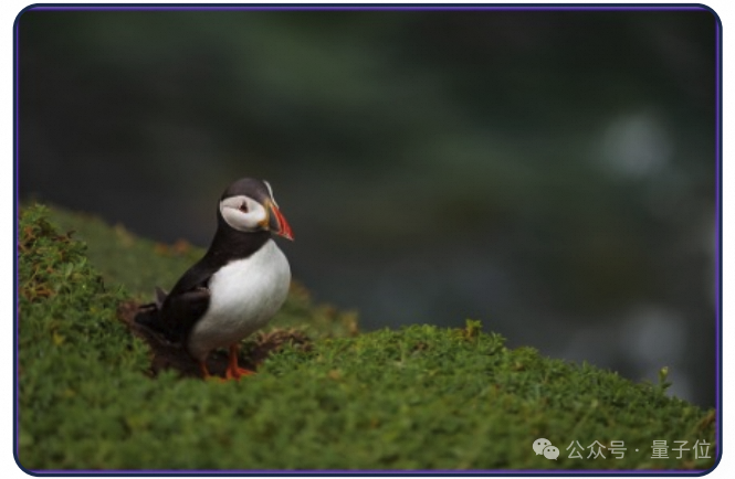 首个开源多模态Deep Research智能体，超越多个闭源方案