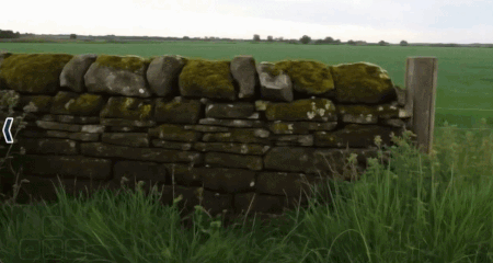 开源版Genie 3世界模型来了：实时+长时间交互，单卡可跑，国内公司出品